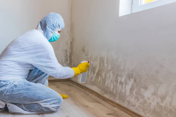 Licensed Commercial Mold Remediation service in Farmington, MN - WQB Mold Removal