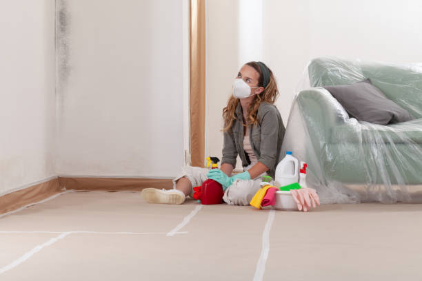 Reliable Commercial Mold Remediation contractor in Farmington, MN by WQB Mold Removal